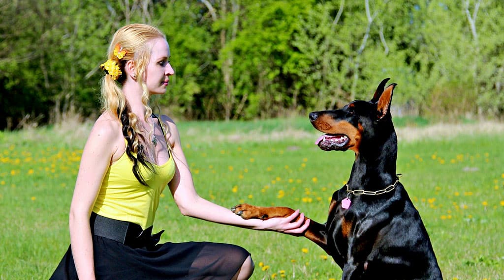 20 Tips for Your Dog Training blog07 free img