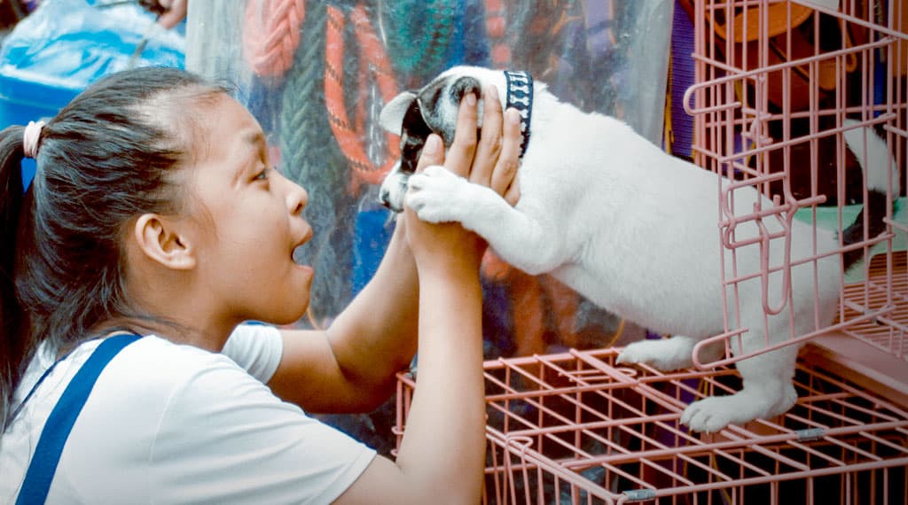 Not Just Humans Need Home blog09 free img