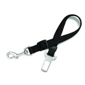 cinturón de seguridad de polipropileno