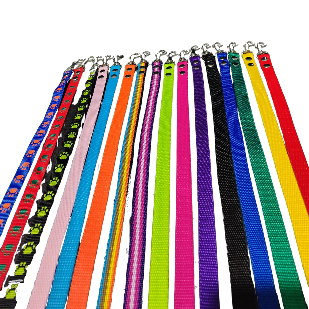 correa de polipropileno correa de polipropileno