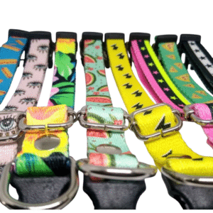 collar sublimado regulable con hebilla tiptop