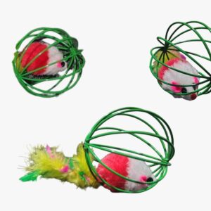 rata enjaulada con plumas