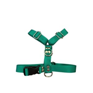 Pretales pretal polipropileno regulable en h